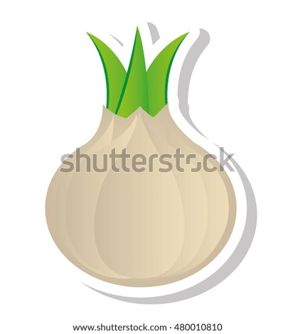 onion vegetable isolated icon vector illustration design