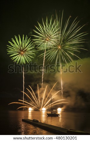 Ignis Brunensis green silver gold colored firework resembling aster flower reflecting on dam water surface. Long exposure night graphical photography using creative tilt effect by tilt-shift lens.