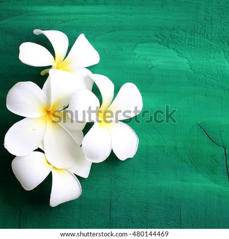 Plumeria flowers on a wooden green.copy space