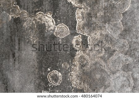 Mortar wall. Background and Texture for text or image.