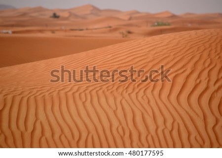 Red sand dunes
Picturing the beautiful red Sand dunes of Dubai - UAE, Middle East during hot day