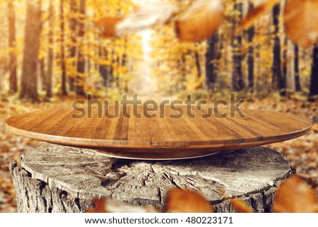 golden autumn forest background and free space for your promotional product 