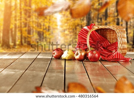 autumn background of apples 