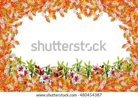 Colorful autumn foliage isolated on white background. Indian summer.