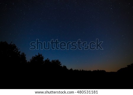 Night sky with bright stars. Against the background of tree crowns in the forest. View constellations and nebulae.