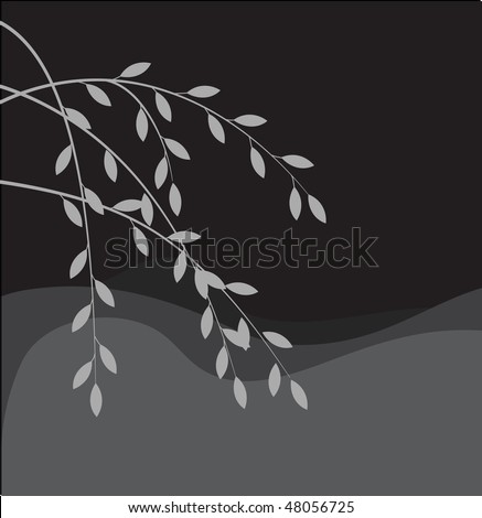 Silhouette of willow branch