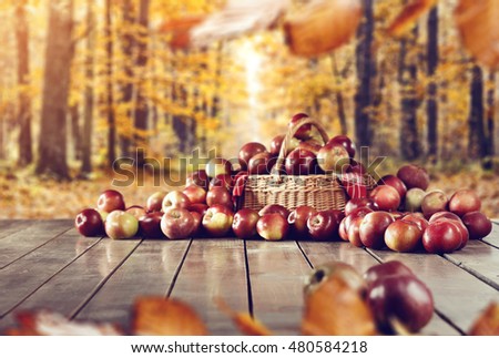 golden autumn background of free space and forest with decoration of apples 