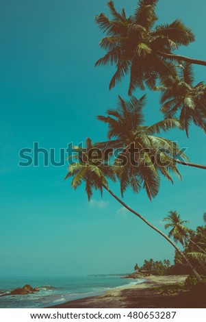 T?ropical beach with exotic coconut palm trees vintage color stylized