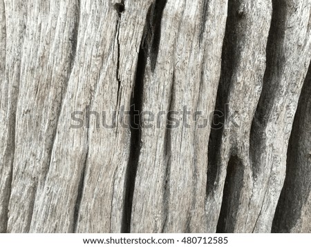 wood,wood texture