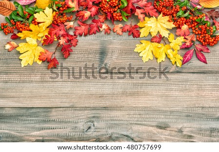 Red yellow leaves and berries. Autumn background. Vintage style toned picture