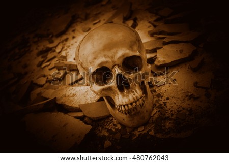 Human skull on ruins place,Horror Background For Halloween Concept And Movie Poster Project