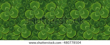 Cover pattern leaves clover trefoil shamrock    St. Patrick green background. Template website.