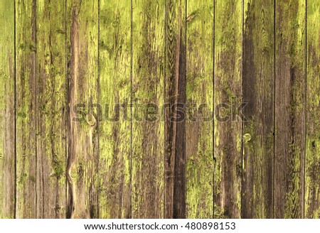 Green painted Timber background