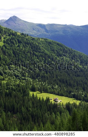 View of Refuge Lunelli, in a clearing in the forest