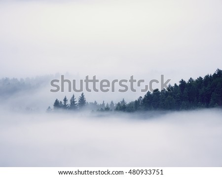 Magnificent heavy mist in landscape. Autumn creamy fog in countryside. Hill increased from fog, the fog is colored to gold and blue Royalty-Free Stock Photo #480933751