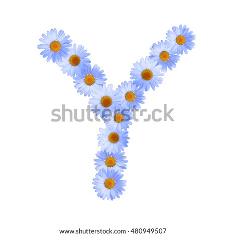 Blue Daisy Letter Y