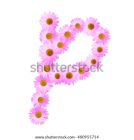 Pink Daisy Letter P