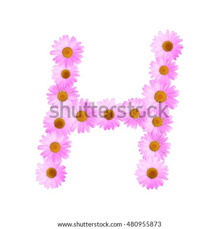 Pink Daisy Letter H