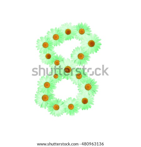 Green Daisy Number Eight