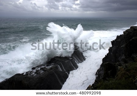 Fantastic sea foam animals,  geometric composition of Wave crashing,  