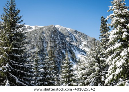 Beautiful landscape view of Western carpathian, Tatry mountains in winter