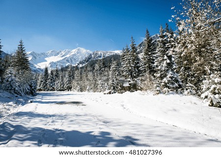 sunny tourist hiking track in winter snow, in western carpathian, tatry mountains
