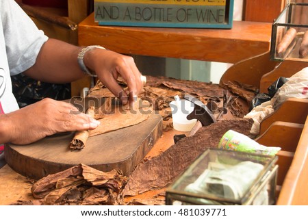 Production of handmade cigars. Royalty-Free Stock Photo #481039771