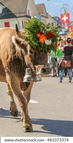 Almabzug - ceremonial driving down the cattle from the mountain pastures into the valley in autumn in SchÃ¼pfheim, Switzerland Royalty-Free Stock Photo #481073374