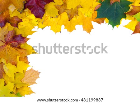 Frame of yellow autumn maple leaves