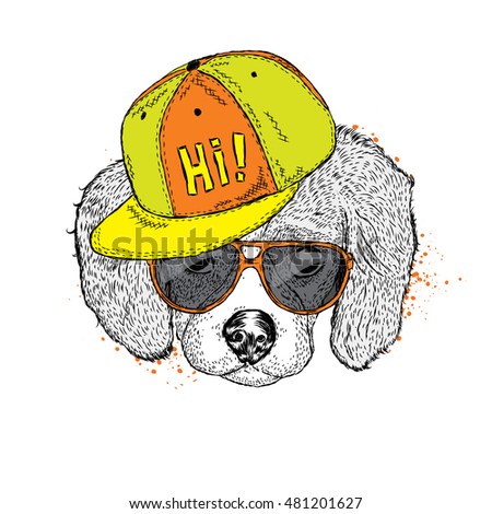 Cute puppy with glasses and a cap. Vector illustration for a card or poster. Print on clothes. Dog. Pet. Fashion & Style.