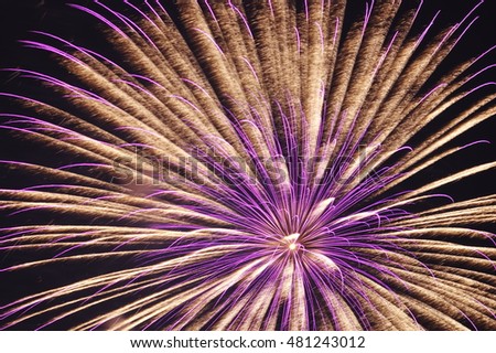 Fireworks display of Japan