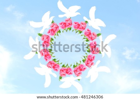 flying dove around rose flower circle in sky background