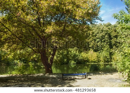 The end of summer/ LAKE/ Bench