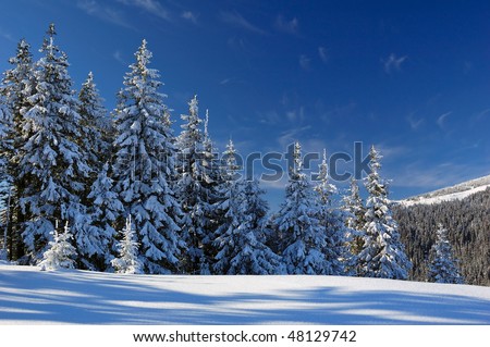 Mountains Carpathians, Ukraine, a mountain valley Pogarsky. Winter.