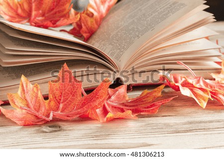 an open book lies on the table with autumn maple leaves closeup. study education knowledge literature