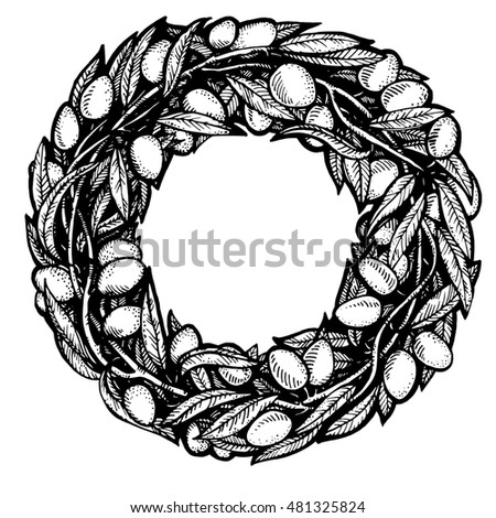 Sketch olive branch with olives. round wreath with branches of olives, olive label, hand drawn illustration