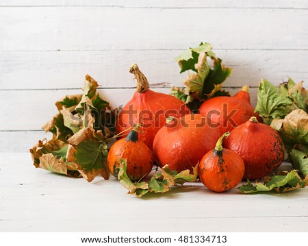 Autumn pumpkins and leaves on a white wooden background. Thanksgiving background. Halloween.