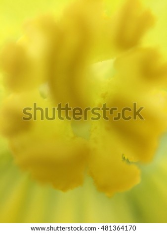 Background blur pollen