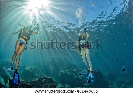 beautiful diver blonde and black hair girl diving in the deep blue sea