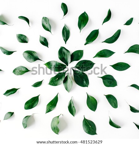 green leaves pattern on white background. flat lay.