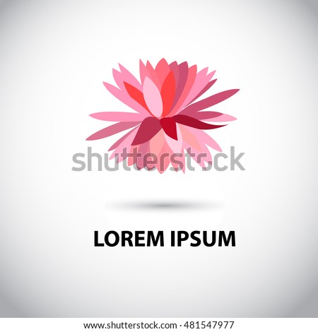 flower water lily logo. Vector