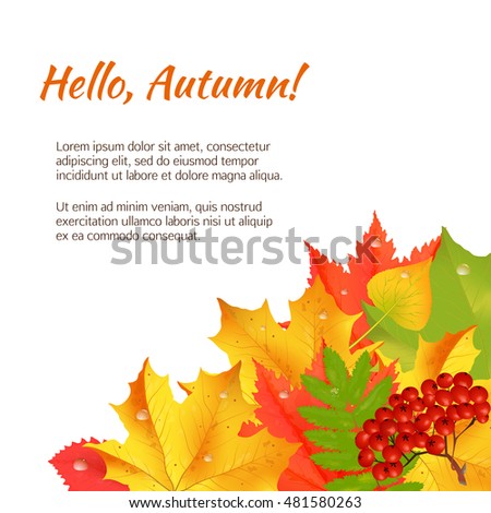 Autumn banner with colorful leaves and copy space isolated on white background for seasonal sale or congratulations banner. Cartoon vector illustration.