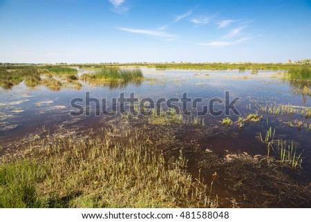 Landscape in Danube Delta, Romania.
