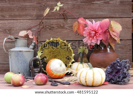 Rural scene. Old rusty jerrycan, sunflower head with seeds, pink dahlia, colorful leaves on clay, ceramic pitcher, pumpkins, apples, vintage scissors, purple ornamental kale, rustic lock.Garden scene