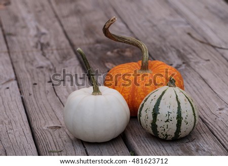 White Casper pumpkin next to an orange pumpkin and green and white gourd on a rustic wood picnic table in fall.