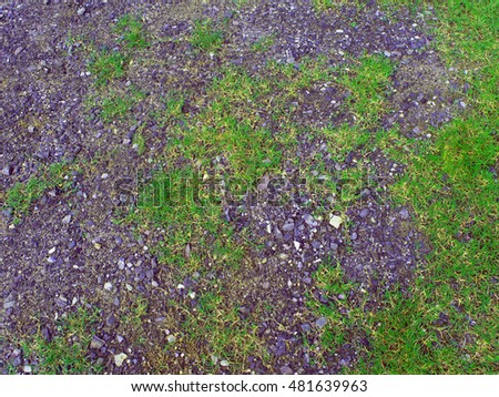 Texture of Crushed stone and grass