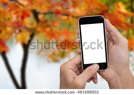 Man hands holding mobile smart phone  over  autumn leaves  background.