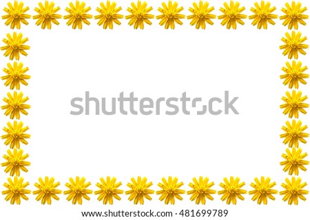 yellow flowers frame isolated on white background