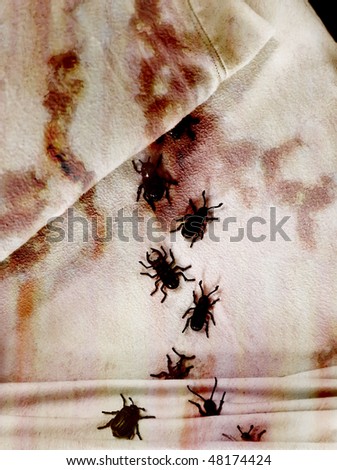 dirty bedbugs on stained bedding