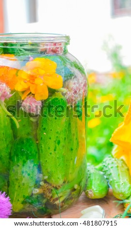 Cucumbers with herbs and spices for pickling in glass jar